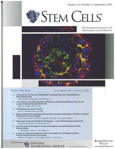stem-cells-cover