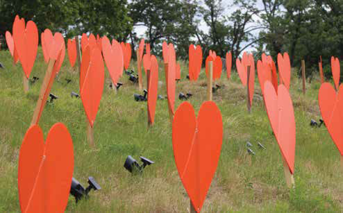 Paper hearts at the former site of the Brandon Residential School honour the children who were forced to attend residential schools