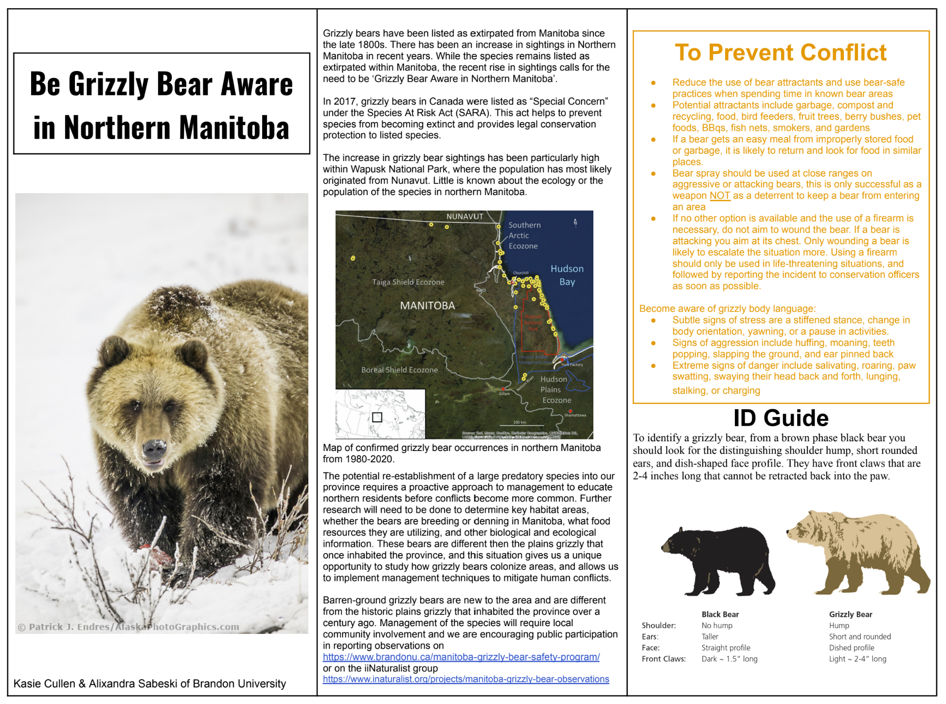 Bear Awareness Resources – Manitoba Grizzly Bear Safety Program