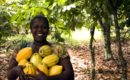 Examining the participation of women in the formulation of agriculture policies