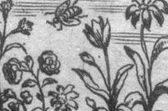 Imagining bees in 17th-century poetry