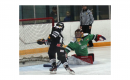 Impact of the COVID-19 pandemic on youth recreational hockey in southwestern Manitoba, Canada